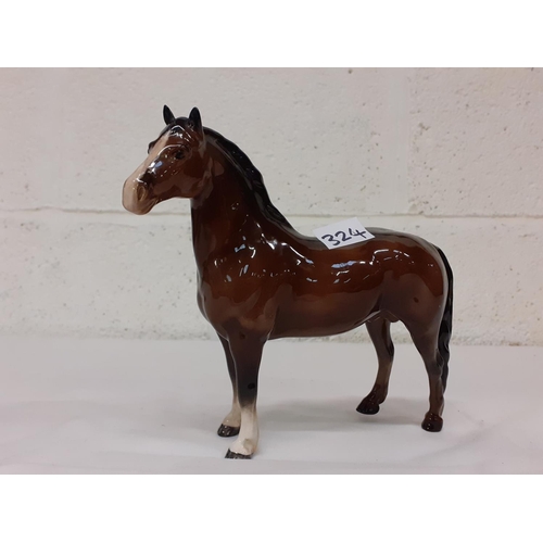 324 - Beswick Bay Stallion.