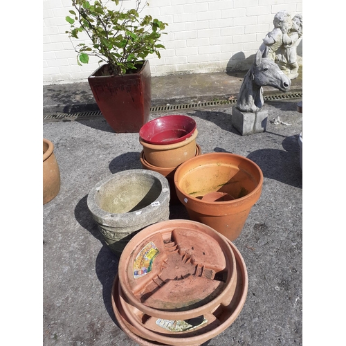 638 - Concrete Pot & Terracotta Planters with Quantity of Plastic Garden Trays.