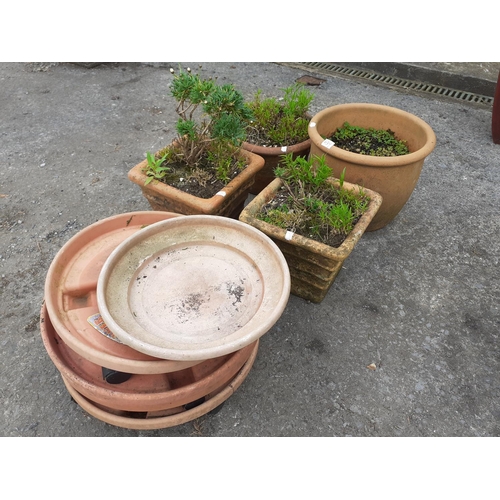 639 - Two Circular and Two Square Terracotta Planters with Quantity of Plastic Garden Trays.