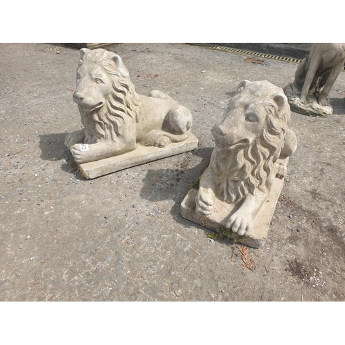 Pair of Laying Concrete Garden Lions each base approx 15" long.