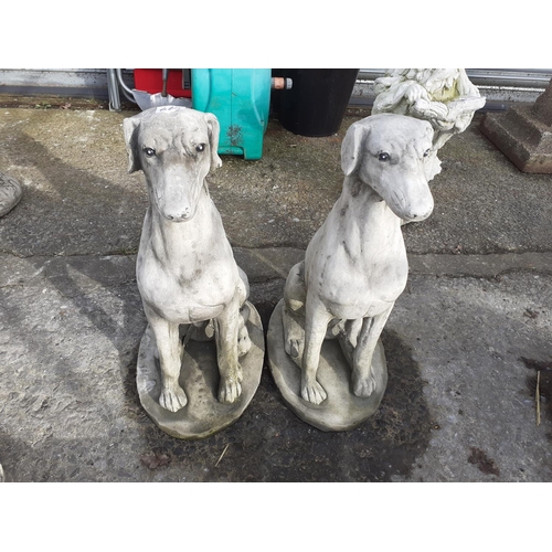 685 - Pair of Sitting Lurcher Concrete Garden Figures - 20