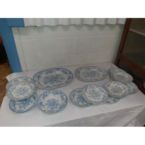 15 - Two Blue & White Asiatic Pheasant Meat Plates & 11 Dinner Plates.