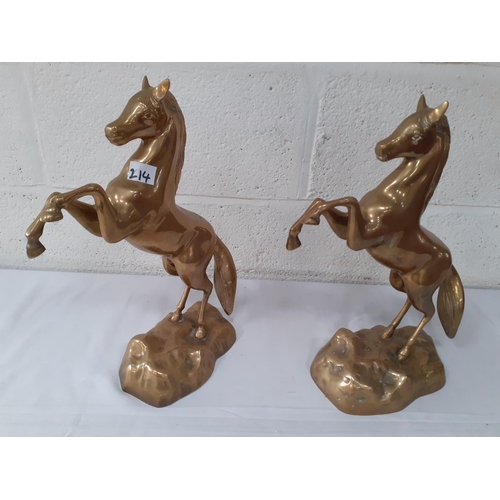 214 - Pair of Rearing Brass Horses - approx 16