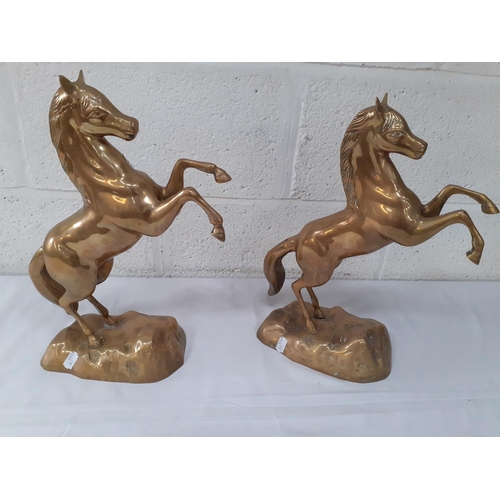 214 - Pair of Rearing Brass Horses - approx 16