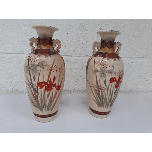 269 - Pair of Setswana Vases - approx 25 cm tall - one has hairline to top.