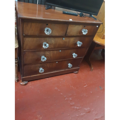 558 - Large Mahogany Two Over Three Nest of Drawers on Bun Feet - approx 40