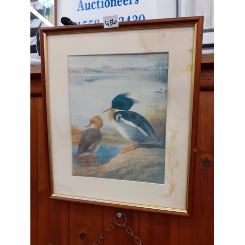 456 - Vintage Framed Duck Scene Print.