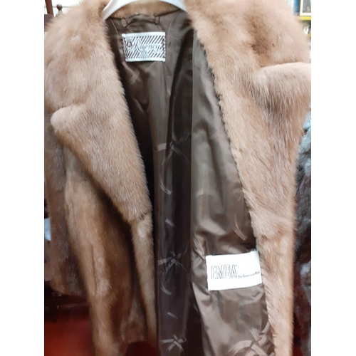 555 - Regency Furs of Swansea Emba American Mink Coat.