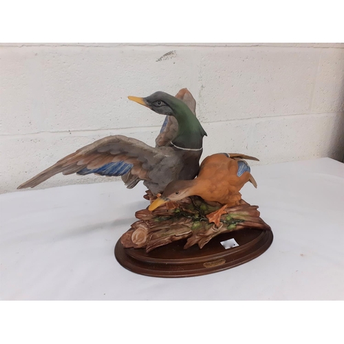 390 - Large Capodimonte Limited Edition (44/1000) Anas Platyrhyncos - Mallard Ducks on Plinth Signed 