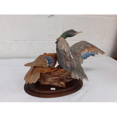 390 - Large Capodimonte Limited Edition (44/1000) Anas Platyrhyncos - Mallard Ducks on Plinth Signed 