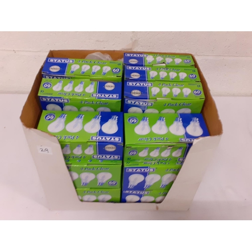 29 - Box of NEW Lightbulbs.