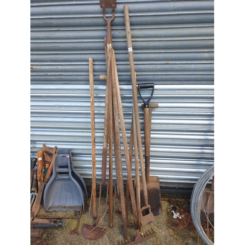 637 - Selection of Long Handled Garden Tools - Spades, Rakes etc.