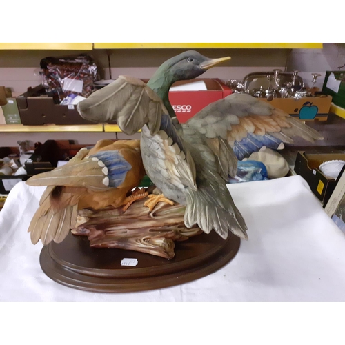 273 - Large Capodimonte Limited Edition (44/1000) Anas Platyrhyncos - Mallard Ducks on Plinth Signed 