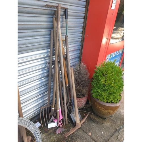 663 - Selection of Long Handled Tools - Rakes, Hoes etc.