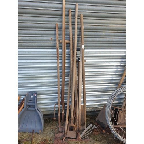 665 - Selection of Long Handled Garden Tools - Spades, Rakes etc.