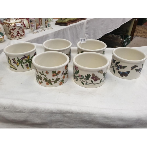 416 - Set of Six Large Portmeirion Botanic Garden 4.25” Ramekins.