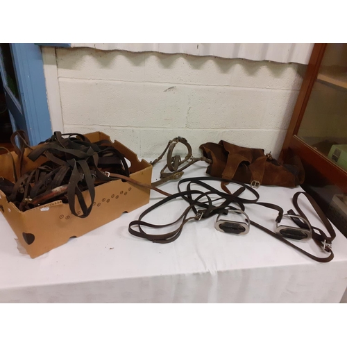 153 - Quantity of Horses Reins, Head Collar, Bridles, Stirrups & Crop.