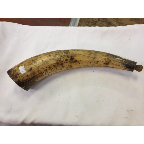 234 - Large Late 19th Century Powder Horn.