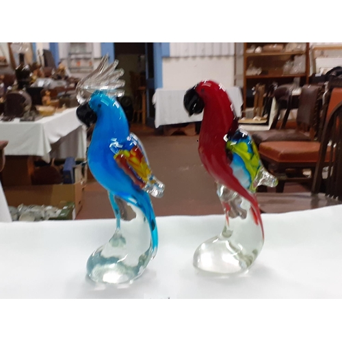 437 - Two Murano-Style Parrot Paperweights/Figures - One Red, One Blue Height c.19cm (c.7.5”).