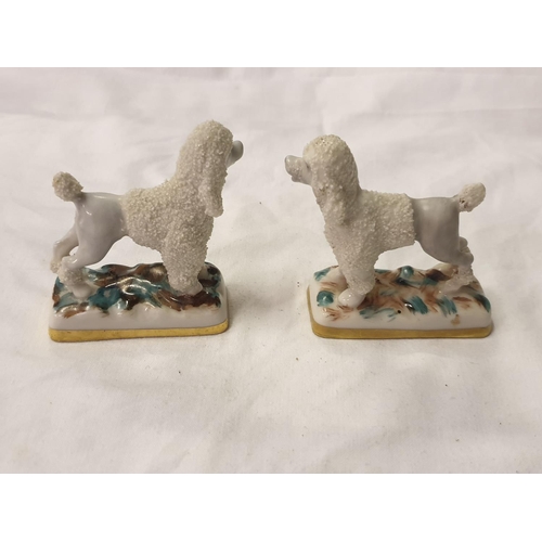 464 - Pair of Late 19th Century Small French Samson Poodles.