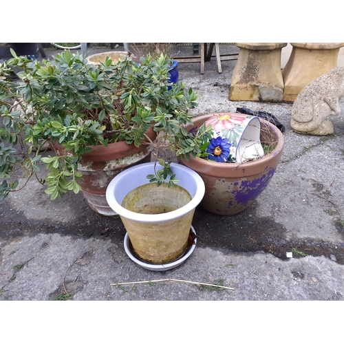 667 - Two Terracotta Planters, Glazed Pot with Saucer & Ceramic Wall Basket.