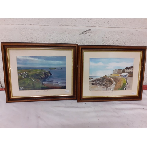 496 - Pair of Framed & Glazed Prints by Rhys - 