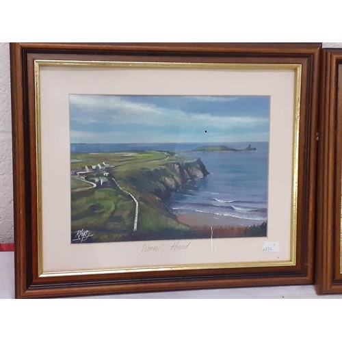 496 - Pair of Framed & Glazed Prints by Rhys - 