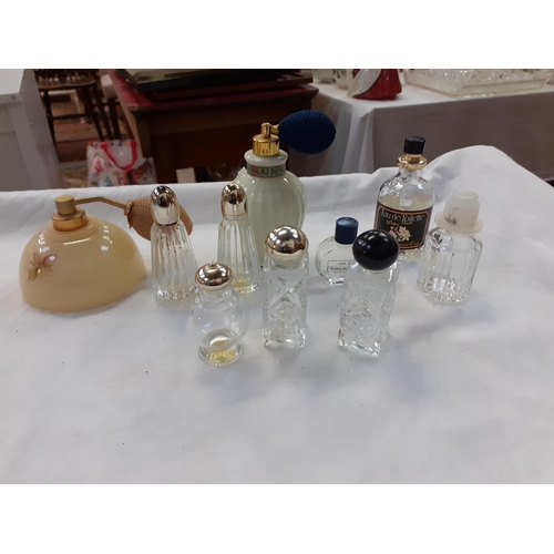Lot 260       