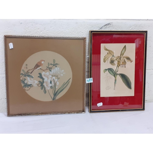 483 - Framed & Glazed Lincoln Paxton Print of Cattleya Grandis & Japanese Flower Picture.