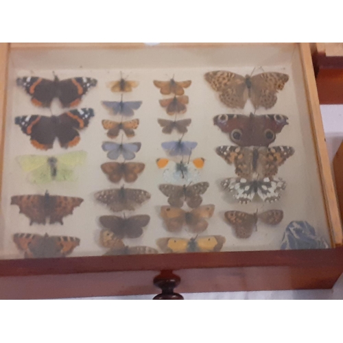 233 - Small Solid Pine Four Drawer Chest & Quantity of Pinned Butterflies.