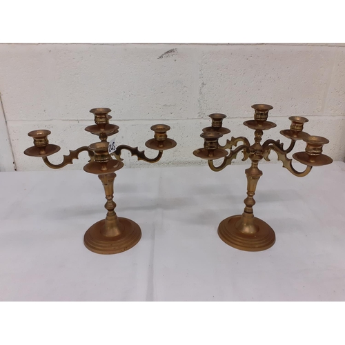 245 - Pair of Brass 5 Branch Candle Holders.