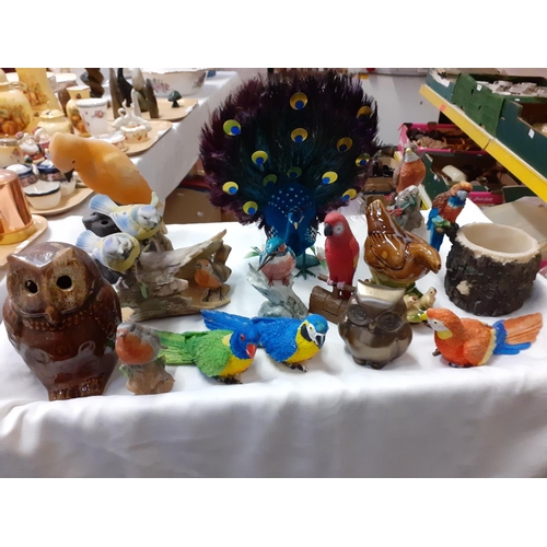 384 - Tray of Bird Ornaments Including a Model of a Peacock, Six Various Parrots and Other Birds.