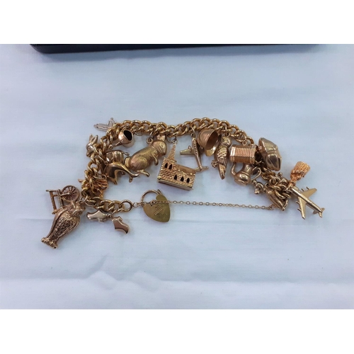 9ct Gold Charm Bracelet & Charms weighs approx 49g in total.