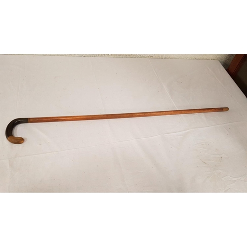 206 - Horn Handled Cane.