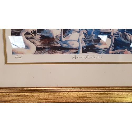 474 - Framed & Glazed Limited Edition (5/795) 