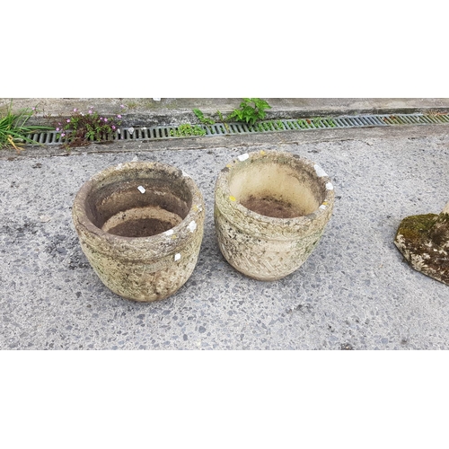 664 - Pair of Concrete Garden Planters - 12