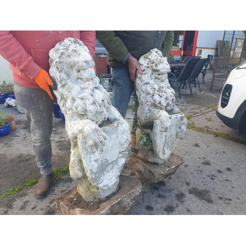 673 - Pair of Heavy Concrete Garden Sitting Lions with Shields - approx 1m tall each.