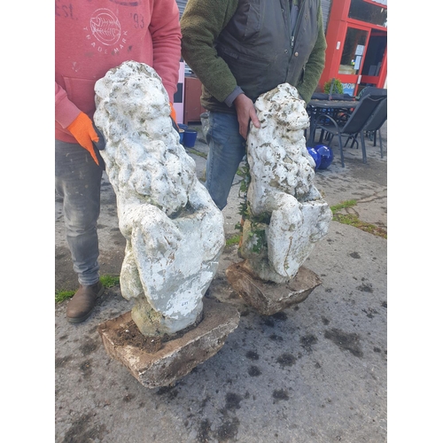 673 - Pair of Heavy Concrete Garden Sitting Lions with Shields - approx 1m tall each.