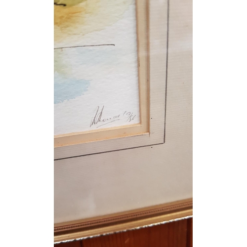 519 - Framed & Glazed Signed 