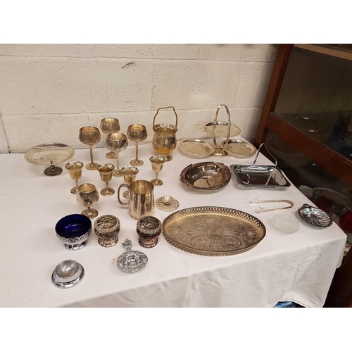 Lot 24        