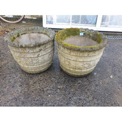 649 - Pair of Concrete Garden Barrel Style Planters - 12