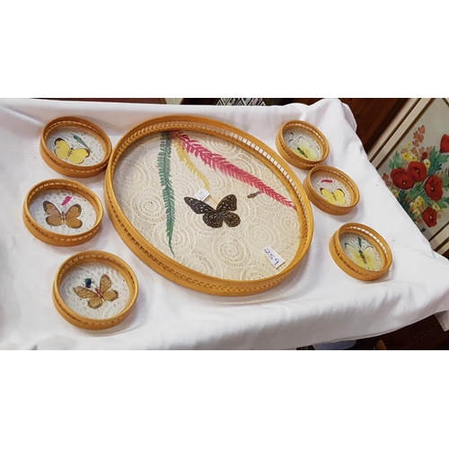 259 - Circular Tray with Butterfly Inset & Coasters.