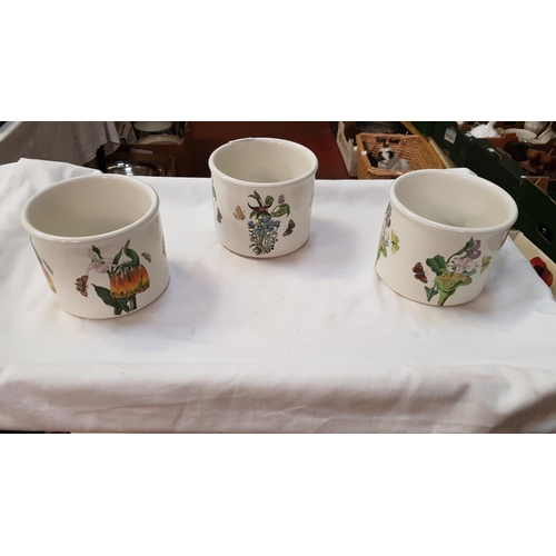 351 - Set of Three Portmeirion Botanic Garden Jardinières/Plant Pots Height c.10cm (c.4”) Diameter c.12.75... 