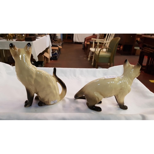 443 - Seated Siamese Cat Height c.17.5cm (c.6.75”) and Standing Siamese Cat Height c.13.75cm (c.5.375”).