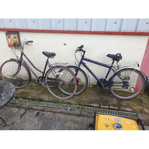 647 - Two Ladies Bicycles  - 