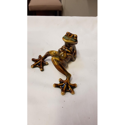 301 - Boxed Green & Brown Shudehill Frog From The Golden Pond Collection.