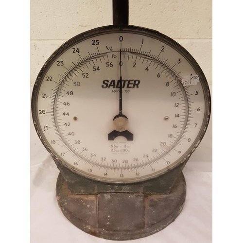 112 - Salter Model 250 Weighing Scales.