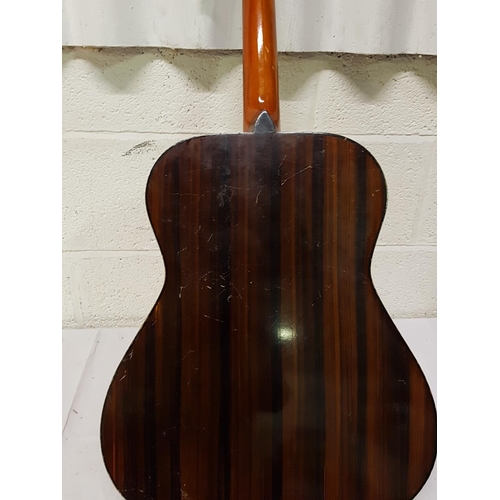 131 - Hohner International Leyanda Acoustic Guitar.