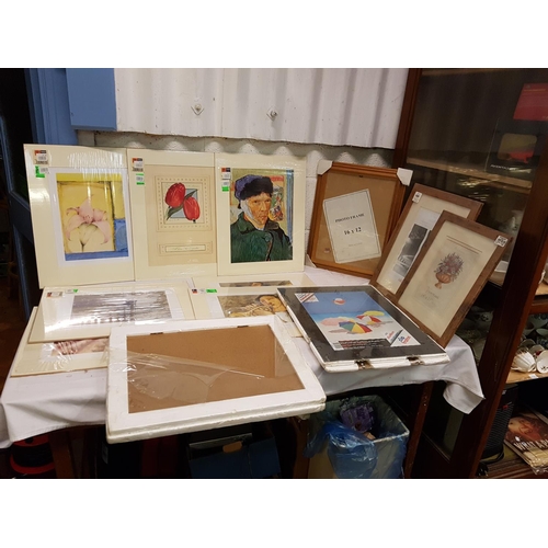 Lot 165       