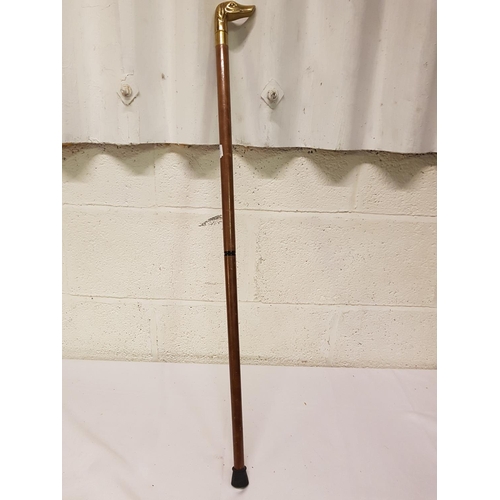 242 - Brass Hound Topped Two Piece Walking Cane.